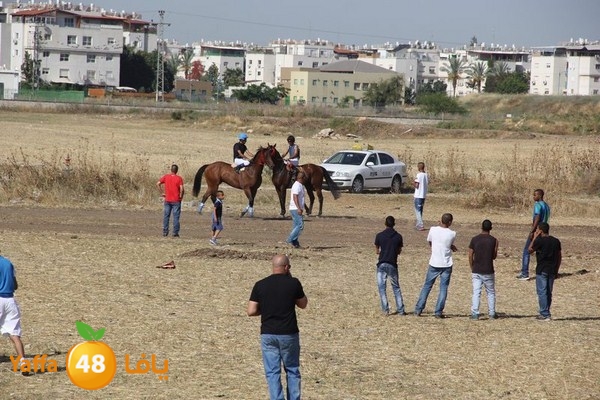 horse race 0602 (39).JPG